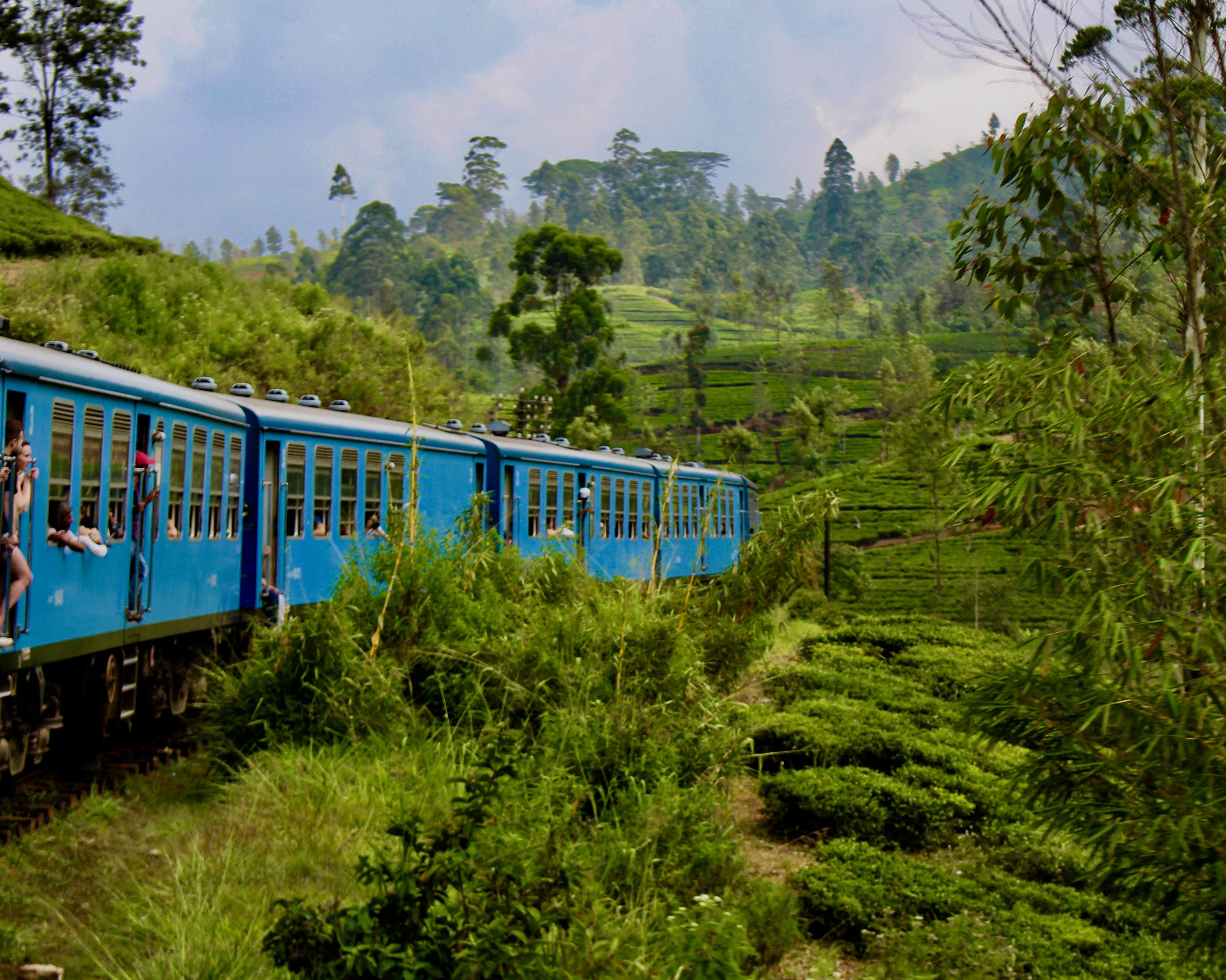 Tog gennem Sri Lankas højland.