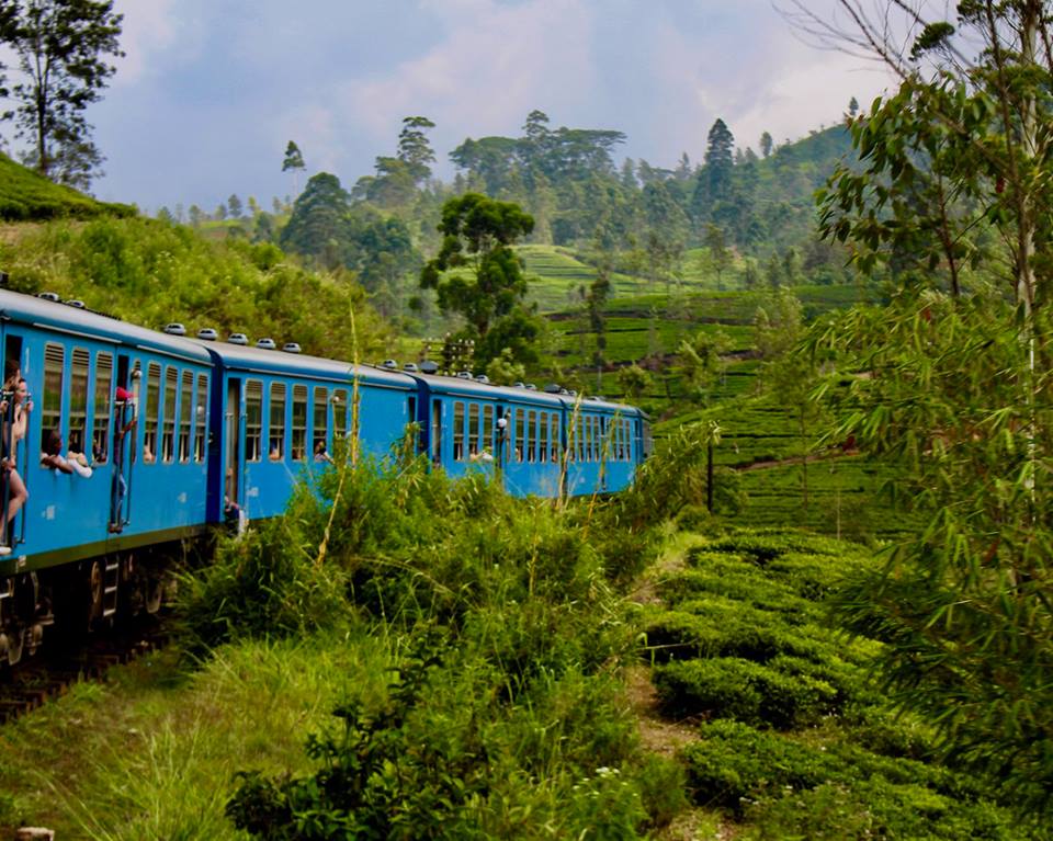 Med tog gennem Sri Lankas højland.