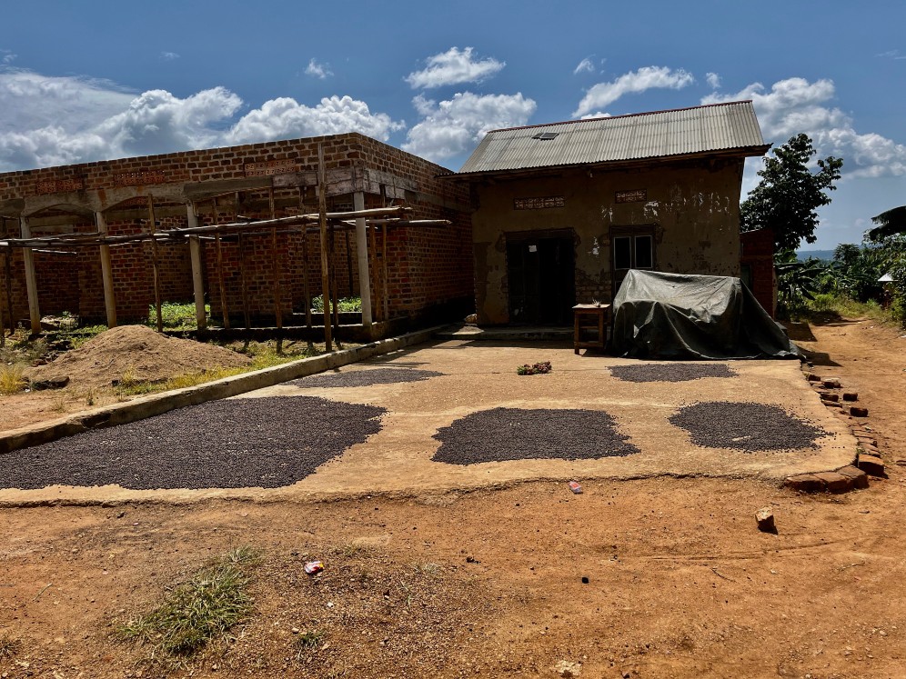 kaffe uganda