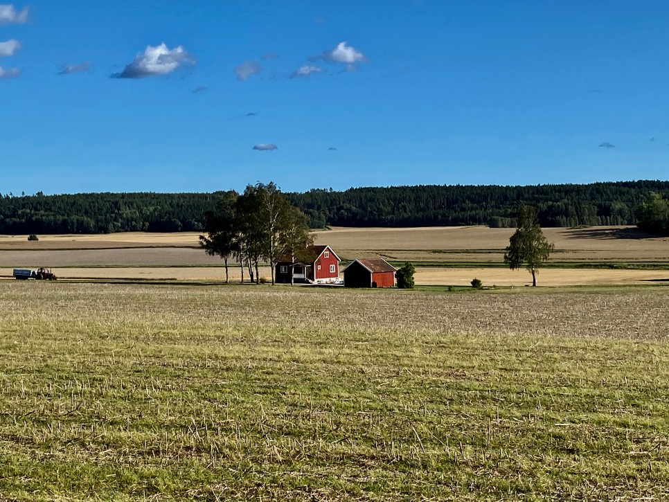 emil fra Lønneberg